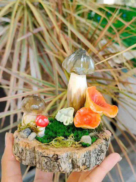 镜｜云南女子手搓野生菌冰箱贴超逼真pg电子免费试玩模拟器开屏热搜放大(图6)