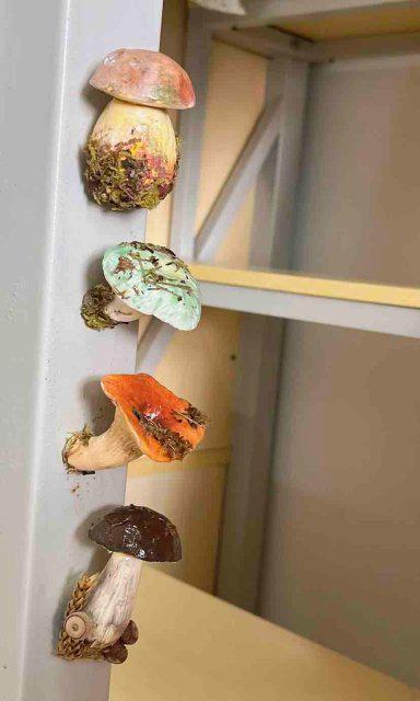 镜｜云南女子手搓野生菌冰箱贴超逼真pg电