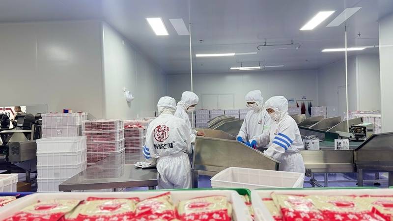 记忆“带得走、记得住”pg电子中国网站让城市(图4)