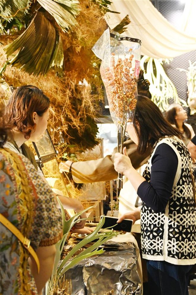 ” “典藏款”鹿角蕨最高标价100万元pg电子模拟器免费试玩锡城刮起“热植风(图3)